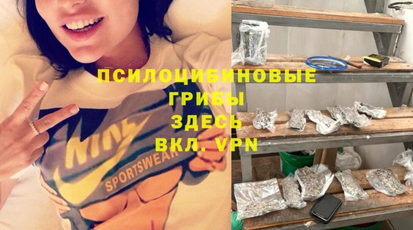 мдпв Осташков