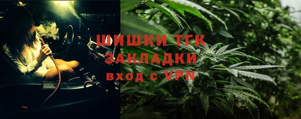 мдпв Осташков