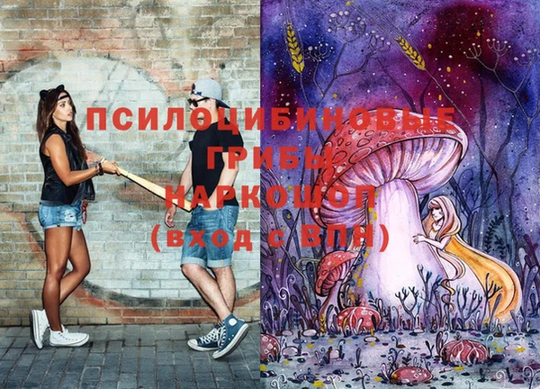 прущие крисы Алексеевка