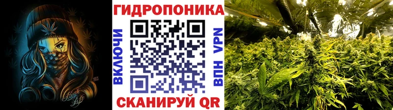 Каннабис White Widow  как найти   Березники 